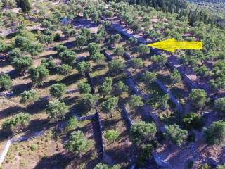 Aerial views of land