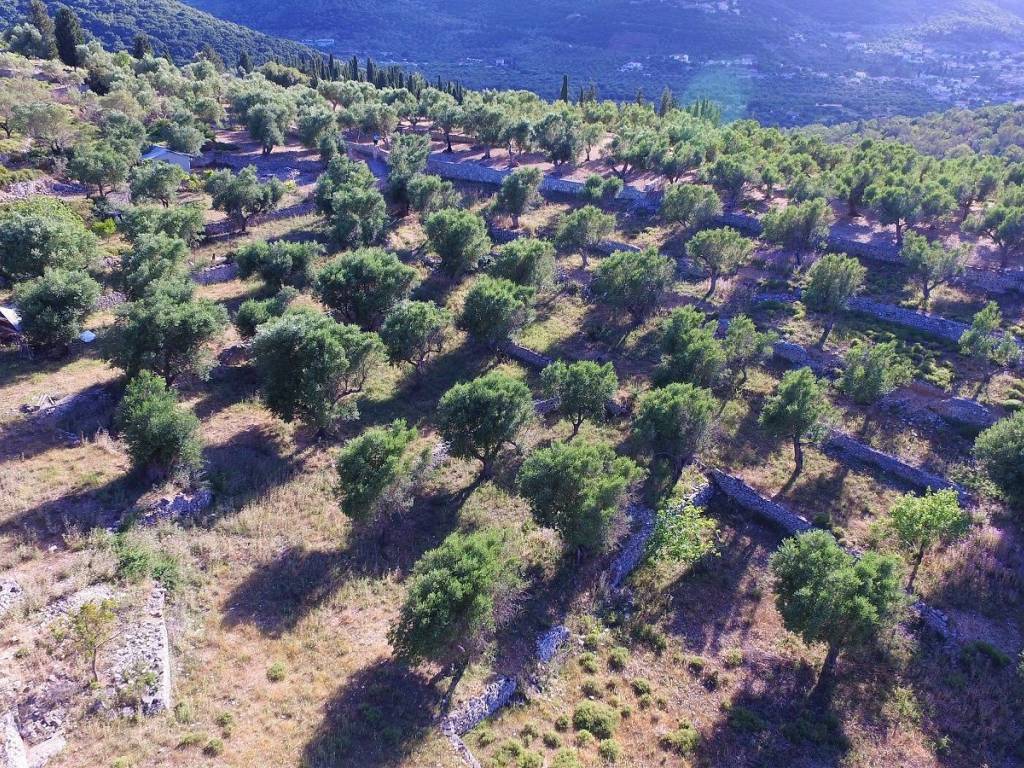 Aerial views of land