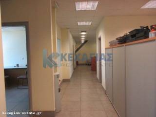 ΕΣΩΤΕΡΙΚΗ ΛΗΨΗ