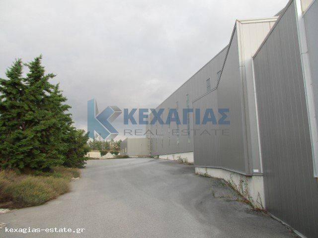 ΕΞΩΤΕΡΙΚΗ ΟΨΗ