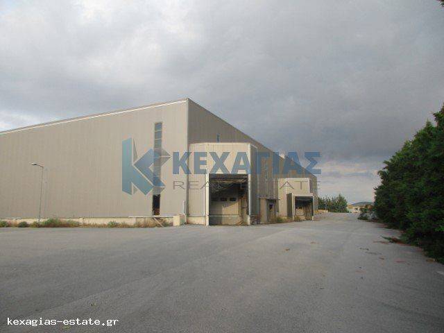 ΕΞΩΤΕΡΙΚΗ ΟΨΗ