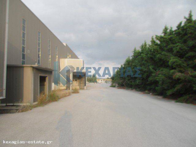 ΕΞΩΤΕΡΙΚΗ ΟΨΗ