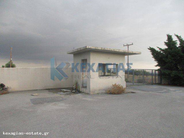 ΕΞΩΤΕΡΙΚΗ ΟΨΗ