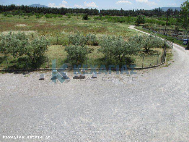 ΠΡΟΑΥΛΙΟΣ ΧΩΡΟΣ