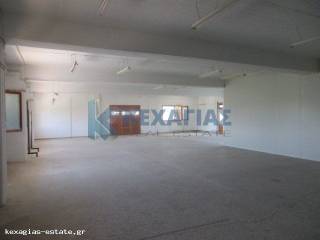 ΕΣΩΤΕΡΙΚΗ ΛΗΨΗ