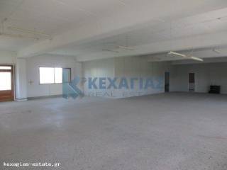 ΕΣΩΤΕΡΙΚΗ ΛΗΨΗ