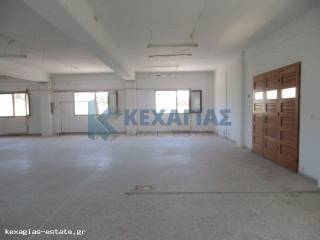 ΕΣΩΤΕΡΙΚΗ ΛΗΨΗ