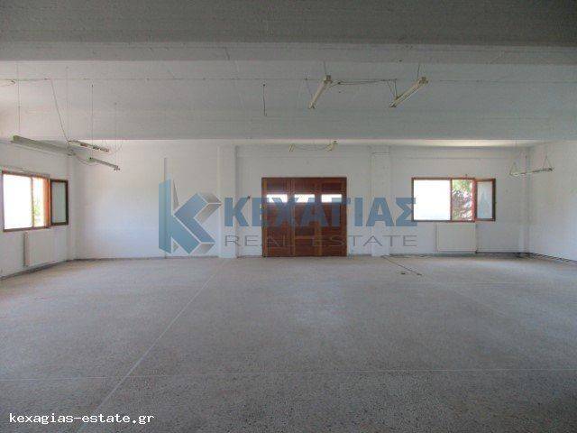 ΕΣΩΤΕΡΙΚΗ ΛΗΨΗ