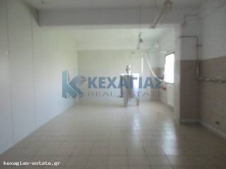 ΕΣΩΤΕΡΙΚΗ ΛΗΨΗ