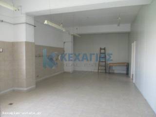 ΕΣΩΤΕΡΙΚΗ ΛΗΨΗ