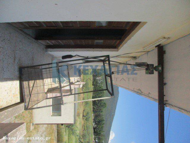 ΑΝΕΒΑΤΟΡΗ ΦΟΡΤΟΕΚΦΟΡΤΩΣΗΣ