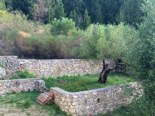 Terraced garden