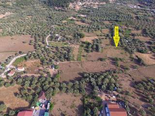 Aerial views of property