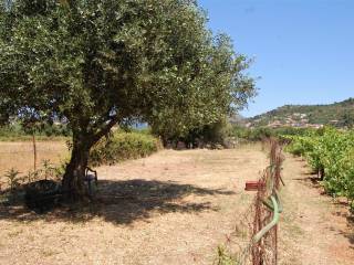 Landscape and terrain