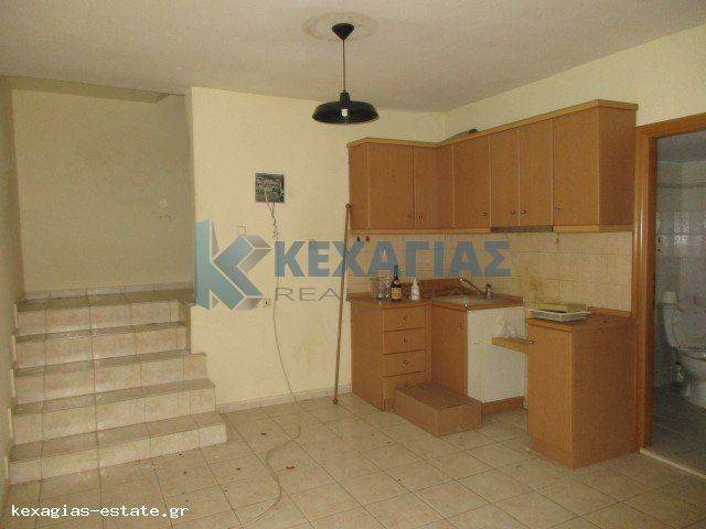 ΗΜΙΥΠΟΓΕΙΑ ΓΚΑΡΣΟΝΙΕΡΑ