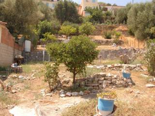 Landscape and terrain of plot