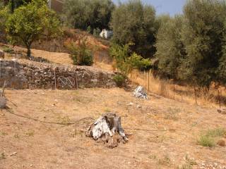 Landscape and terrain of plot