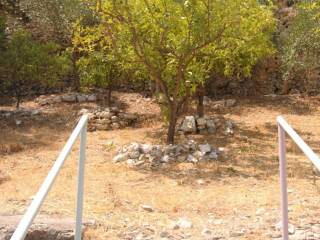 Landscape and terrain of plot