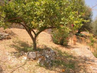 Landscape and terrain of plot