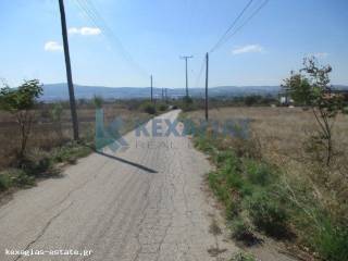 ΕΞΩΤΕΡΙΚΗ ΛΗΨΗ