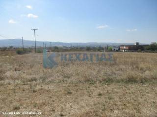 ΕΞΩΤΕΡΙΚΗ ΛΗΨΗ