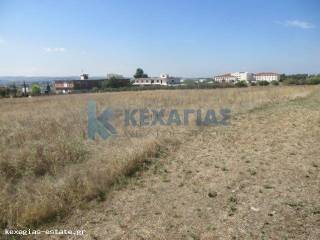 ΕΞΩΤΕΡΙΚΗ ΛΗΨΗ