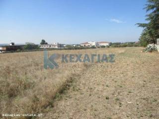 ΕΞΩΤΕΡΙΚΗ ΛΗΨΗ