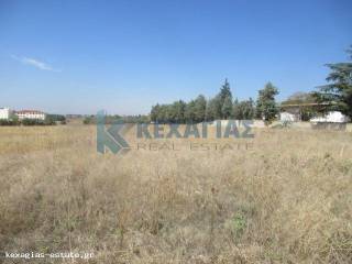 ΕΞΩΤΕΡΙΚΗ ΛΗΨΗ