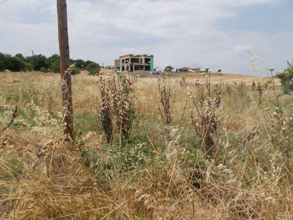 οικόπεδο