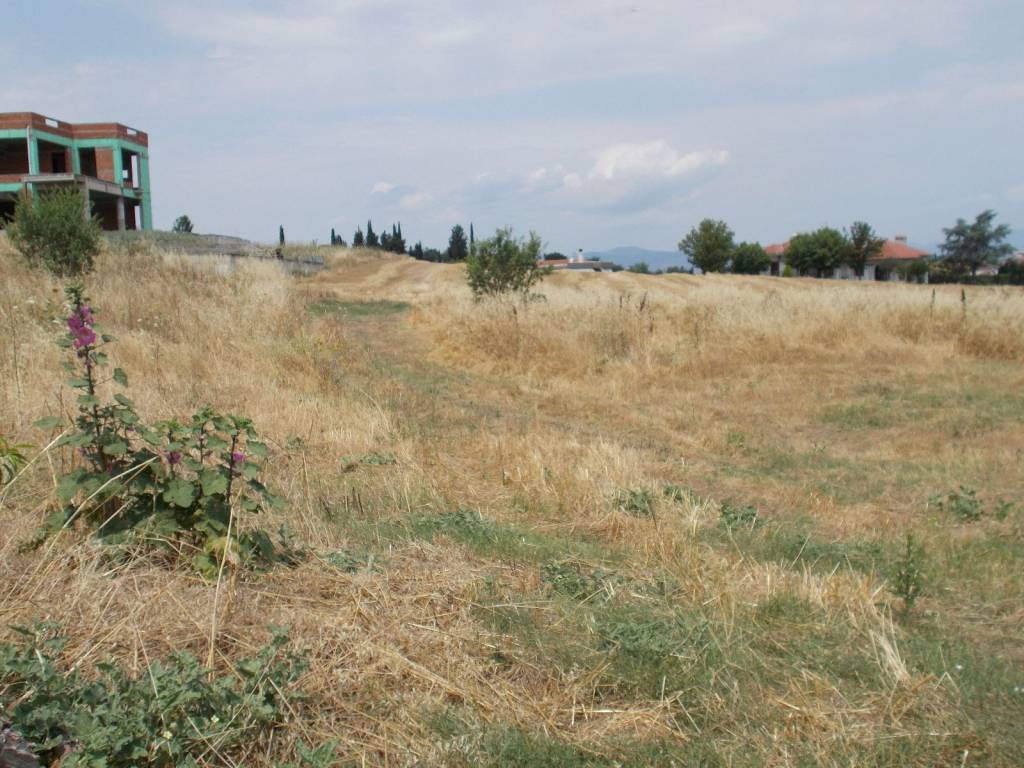 οικόπεδο