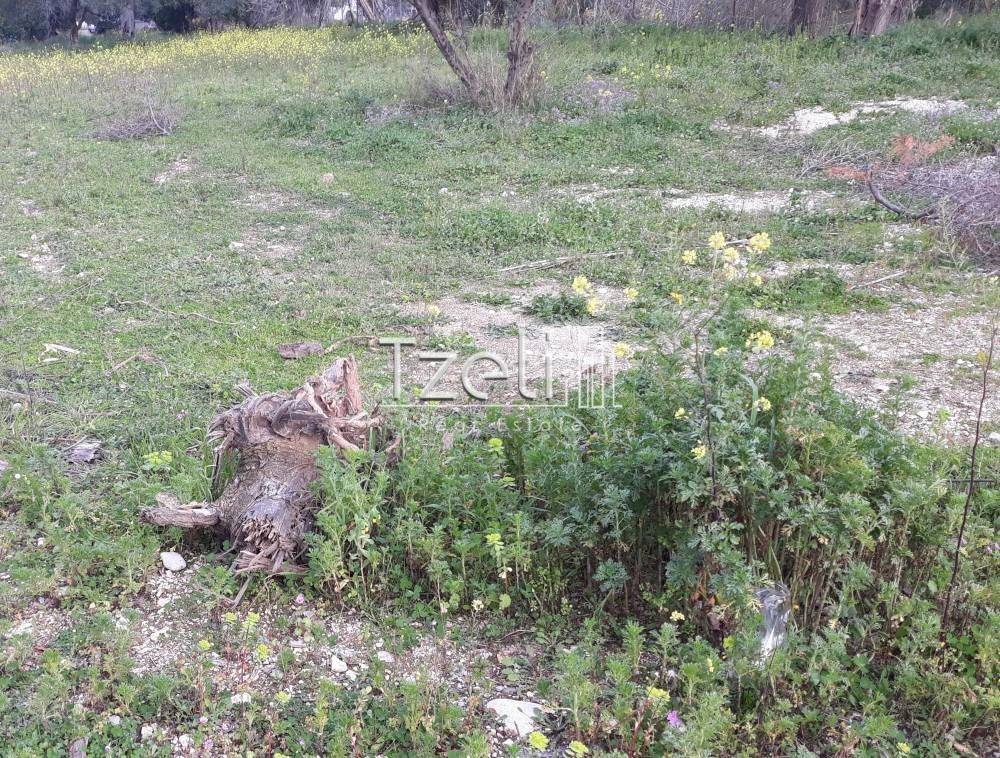 Άποψη οικοπέδου