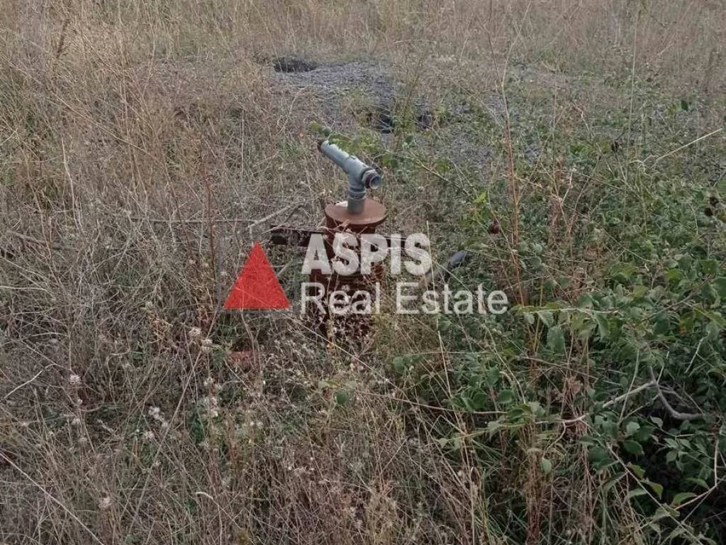 Εξωτερικοι χώροι