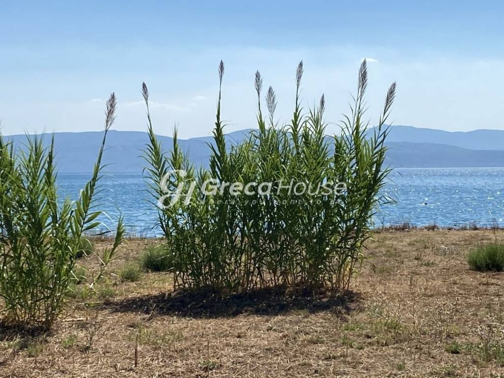 Beachfront Plot with Building Permit for Sale Evia