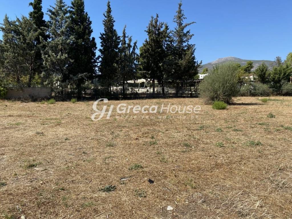 Beachfront Plot with Building Permit for Sale Evia