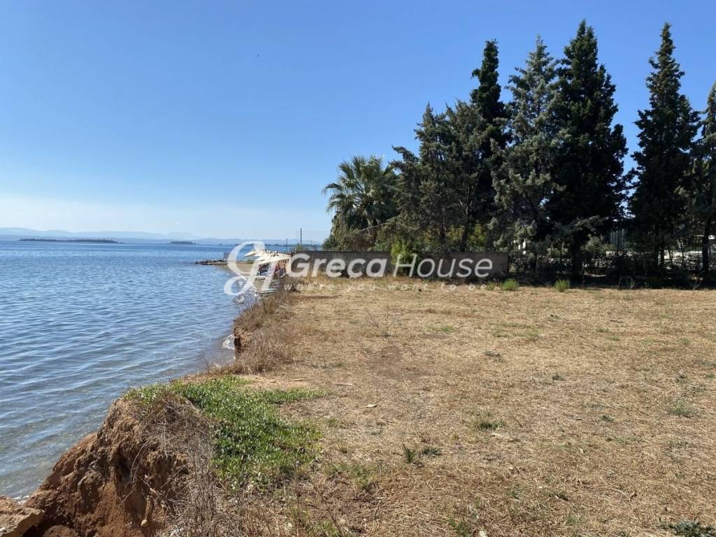 Beachfront Plot with Building Permit for Sale Evia