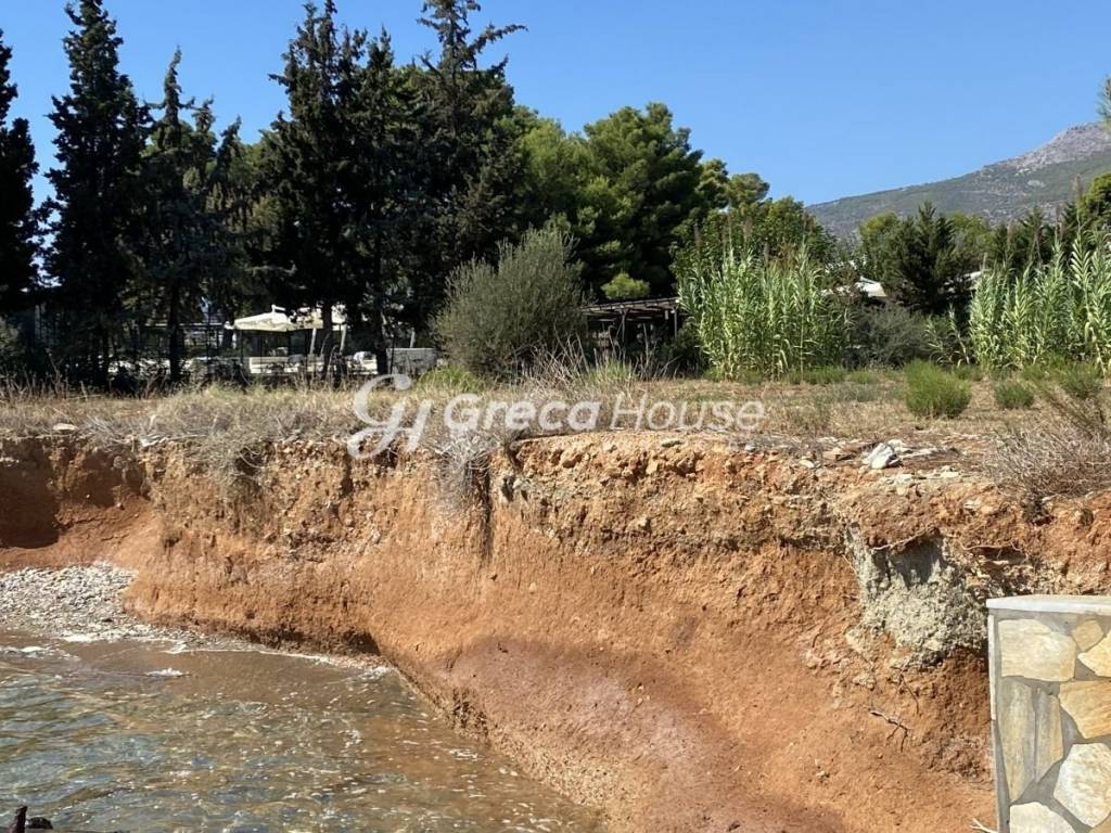 Beachfront Plot with Building Permit for Sale Evia