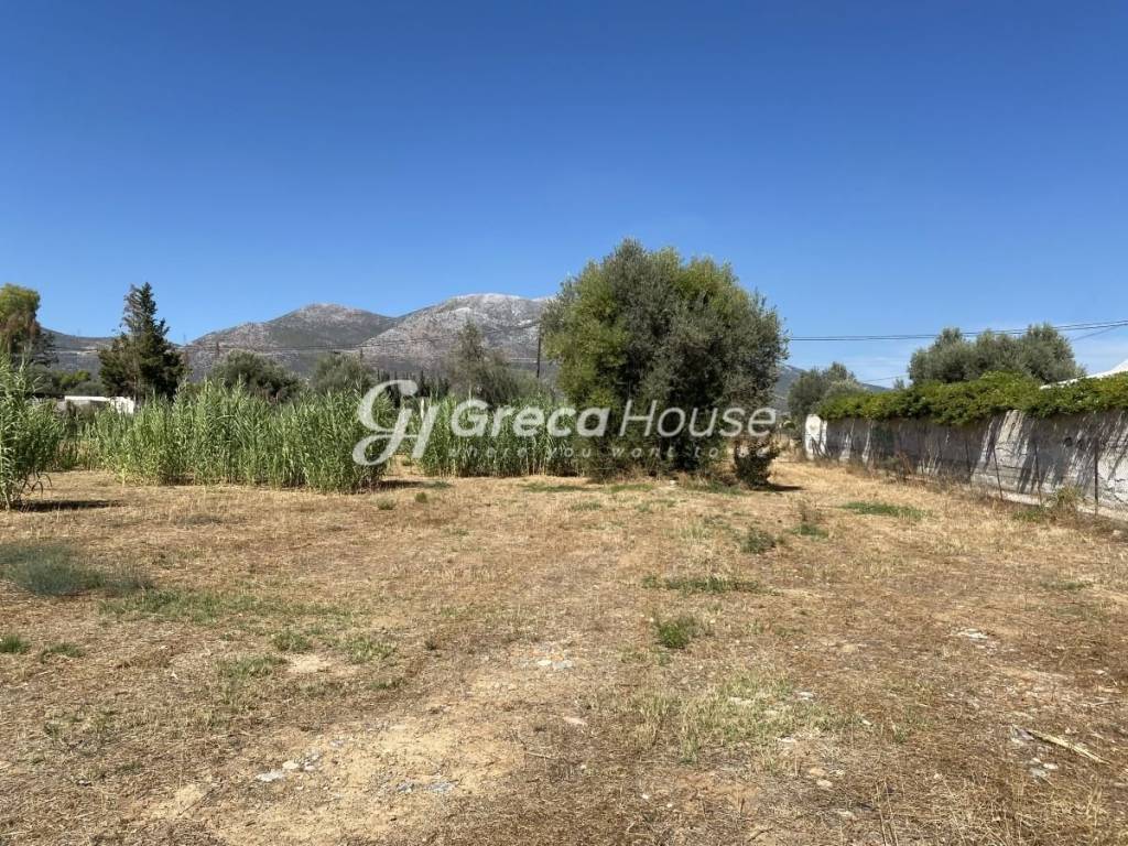 Beachfront Plot with Building Permit for Sale Evia