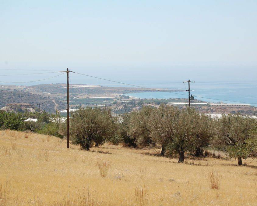 View Standing on Plot