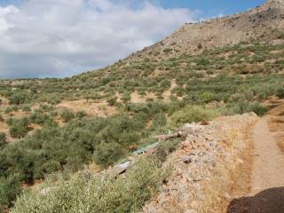 Looking over the Plot