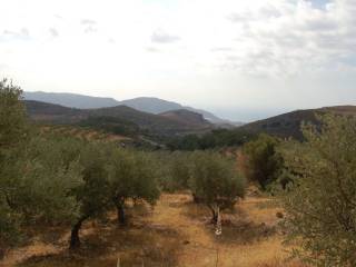 Standing on the Plot