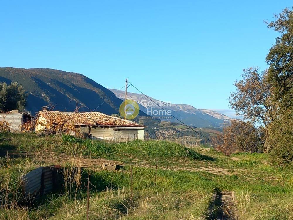 Εξωτερικός Χώρος