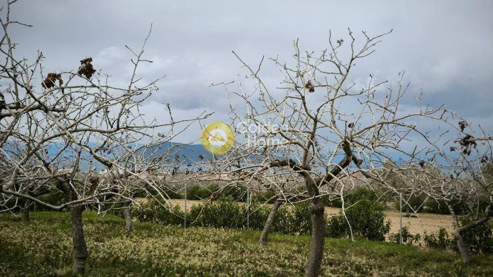 Εξωτερικός Χώρος