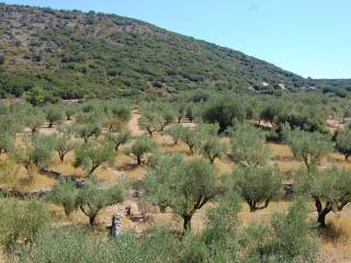 MV Properties Real Estate Ithaca Greece. Exterior view.