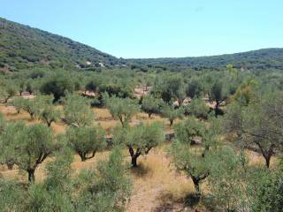 MV Properties Real Estate Ithaca Greece. Exterior view.