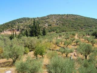 MV Properties Real Estate Ithaca Greece. Exterior view.