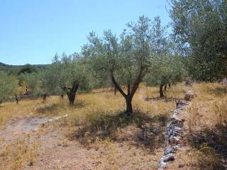 MV Properties Real Estate Ithaca Greece. Exterior view.