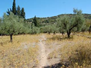 MV Properties Real Estate Ithaca Greece. Exterior view.