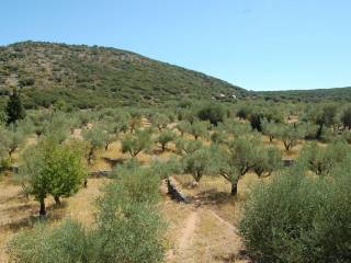 MV Properties Real Estate Ithaca Greece. Exterior view.