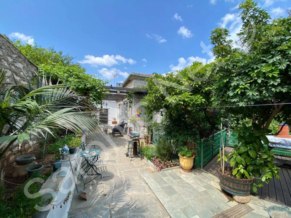 Entrance courtyard, decking over east garden