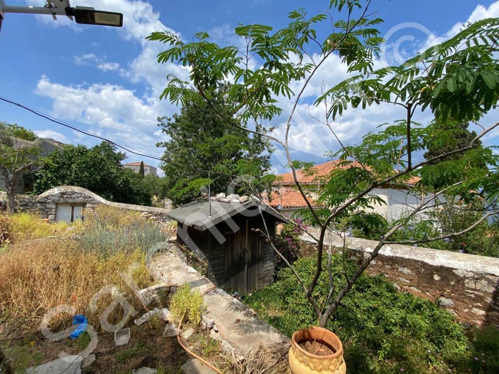 Garden to west side of house with arched street entrance